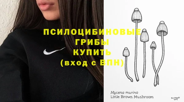 apvp Белокуриха