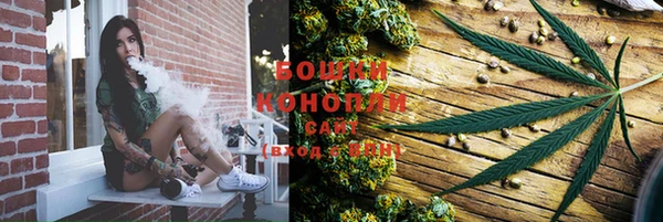 apvp Белокуриха