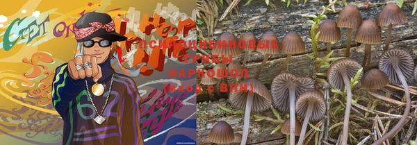 apvp Белокуриха