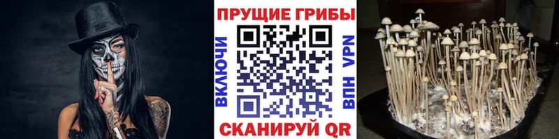 где продают наркотики  МЕГА ONION  Галлюциногенные грибы прущие грибы  Воскресенск 